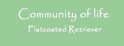 Community of life - Flatcoated Retroiever
